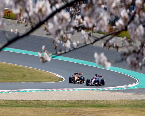 Dos monoplazas de Fórmula 1 compiten rueda a rueda en una curva del circuito de Suzuka, con flores de cerezo en primer plano