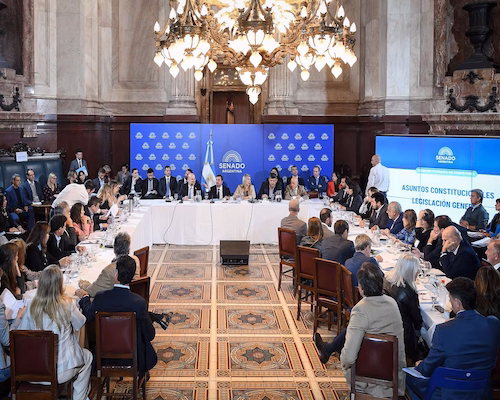 Reunión de comisión en el Senado argentino con legisladores debatiendo en una mesa amplia